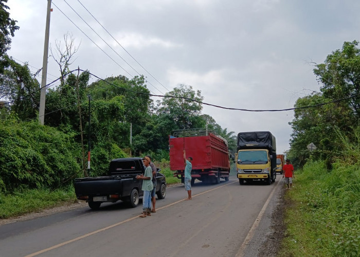 Kabel PLN Jatuh ke Badan Jalan Lintas Sumatera, Sebabkan Macet Panjang