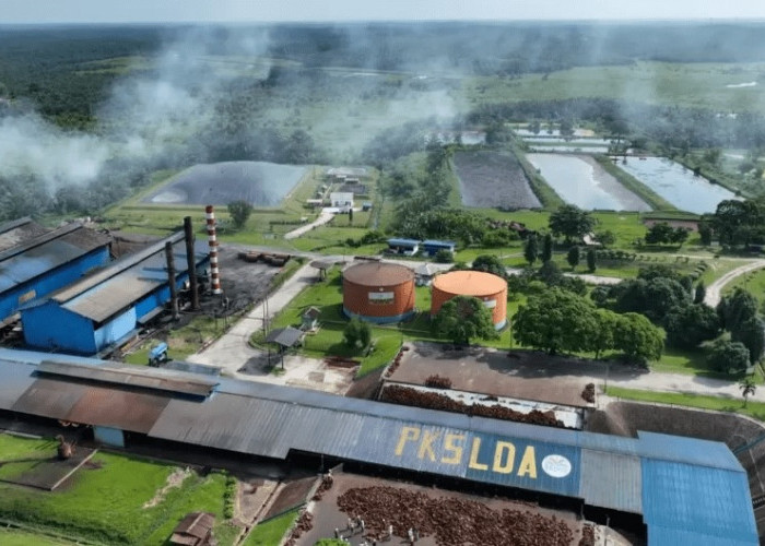 Limbah Sawit Riau Disulap Jadi Energi Hijau, BRIN dan PalmCo Garap Proyek Bio-CBG