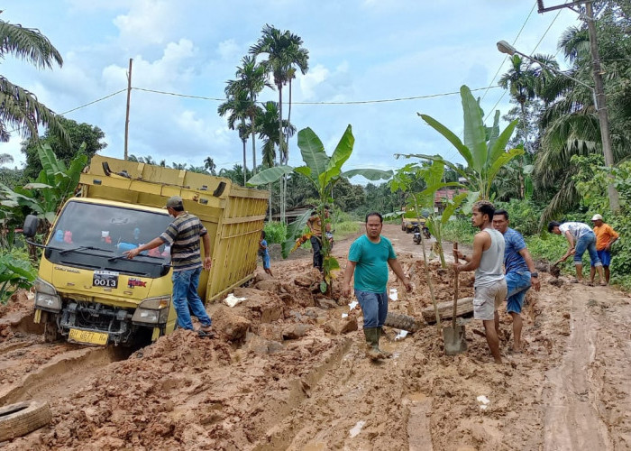  Protes Jalan Rusak Parah, Warga di Muaro Jambi Tanam Pohon Pisang di Tengah Jalan