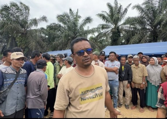 Sudah Milik Legalitas dari SK Kemenkumham, KTH Betung Bersatu Kumpeh Perjuangkan Hak Atas Lahan 2.391,6 Ha