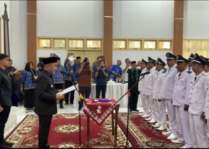 Bupati Dedy Putra Lantik 28 Datuk Rio Hasil Pemilihan Serentak, Berikut Nama-Namanya