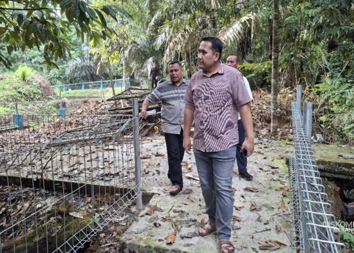 Fasilitas dan Penghuni Baru Arboretum Siap Manjakan Pengunjung, Bupati M. Syukur Tinjau Progres Perbaikan