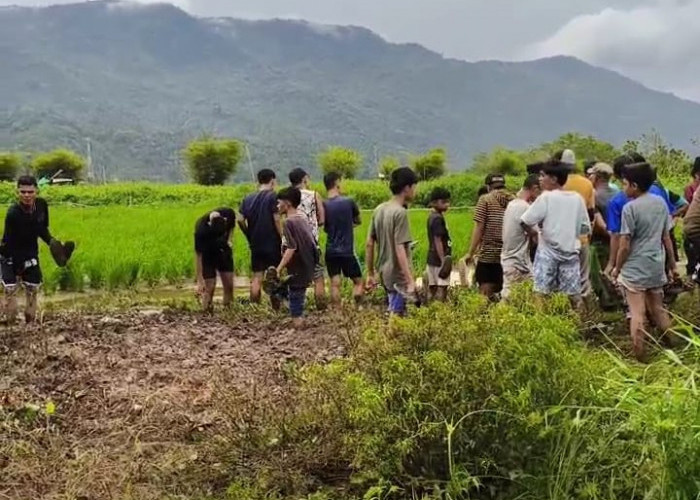 BREAKING NEWS: Geger Warga Temukan Mayat Dekat Danau Kerinci 