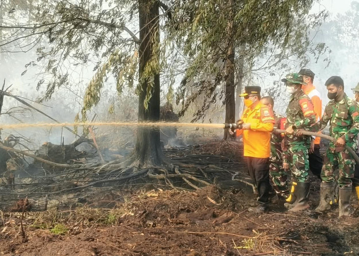 Kawasan Gambut Londerang Kembali Terbakar, Al Haris Langsung Tinjau dan Uji Zat Pemadam Api Gambut