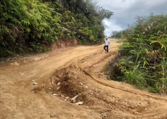 Infrastruktur Prioritas 2026, Jalan Renah Pemetik Kerinci Segera Diperbaiki