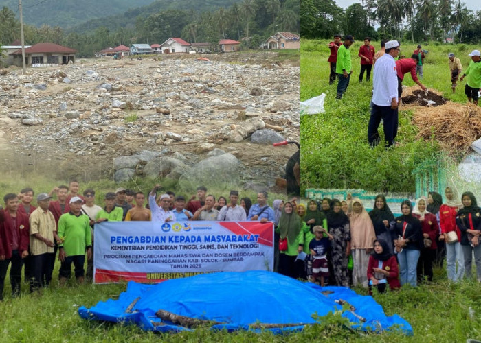 Pemulihan Pascabencana, Mahasiswa UMB Dorong Ketahanan Pangan Warga Solok