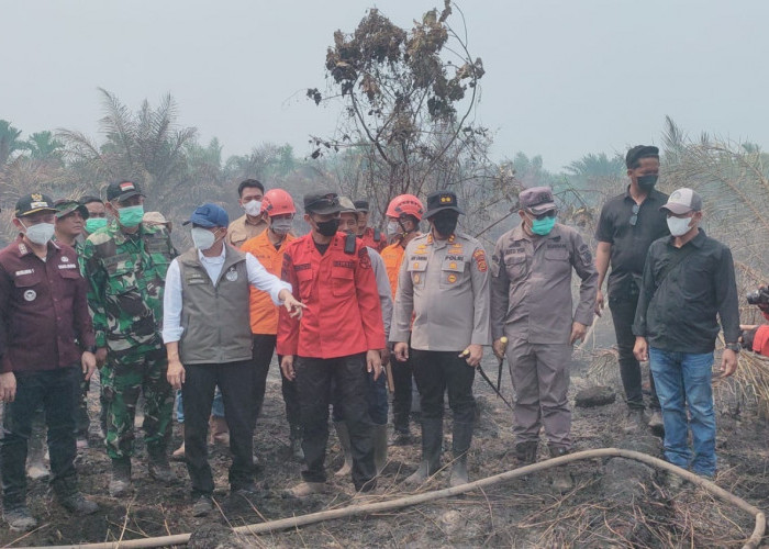 Menteri Kehutanan Turun Gunung, Pantau Langsung Karhutla Gambut di Tanjabtim