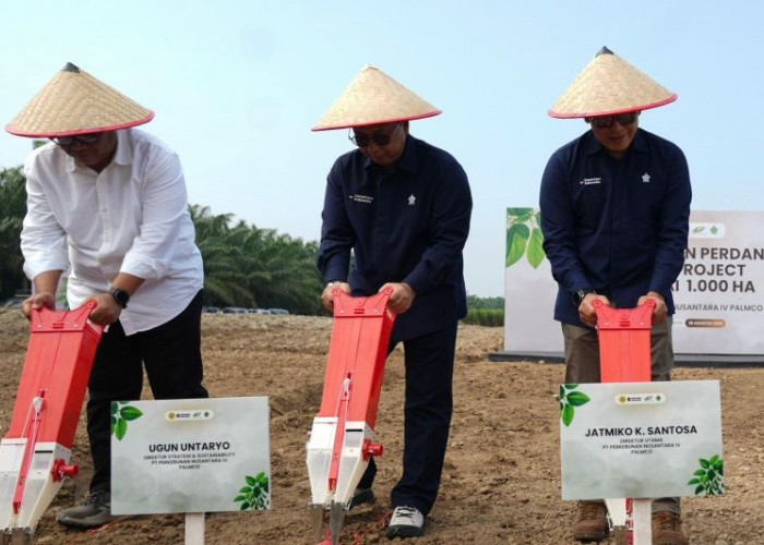 PTPN IV PalmCo Resmikan Proyek Percontohan Kedelai 1.000 Hektare untuk Dorong Swasembada Pangan