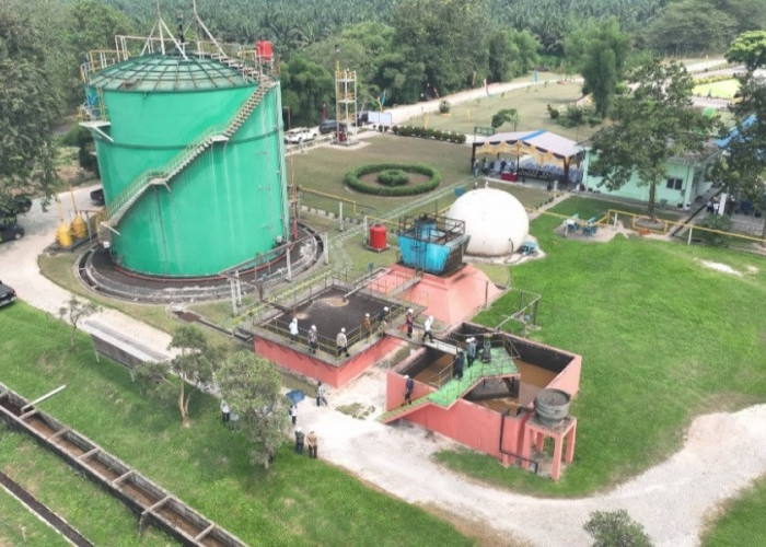 PTPN IV Regional III  Berhasil Tekan Emisi Karbon 88.608 Ton per Tahun