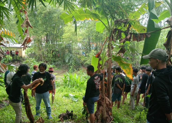 Seminggu Hilang, Pria Lansia Ditemukan Tak Bernyawa di Dalam Kolam 