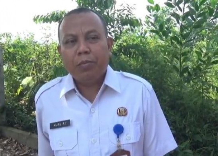  Stok Hewan Kurban di Muaro Jambi Tembus 6 Ribu Ekor