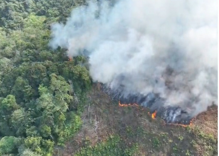 Karhutla di Area PT Jebus Maju Meluas, Tim Gabungan Butuh Water Bombing