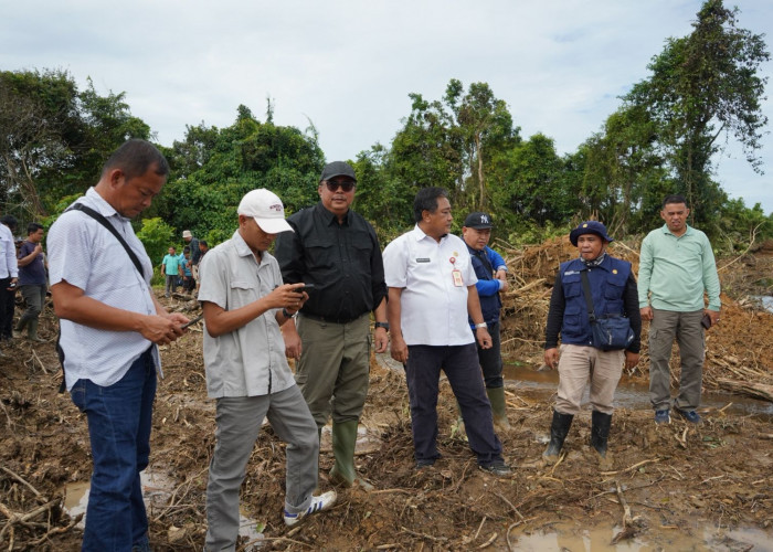 Dirjen LIP Tinjau dan Pastikan Progres Cetak Sawah di Kab Bungo Berjalan Baik