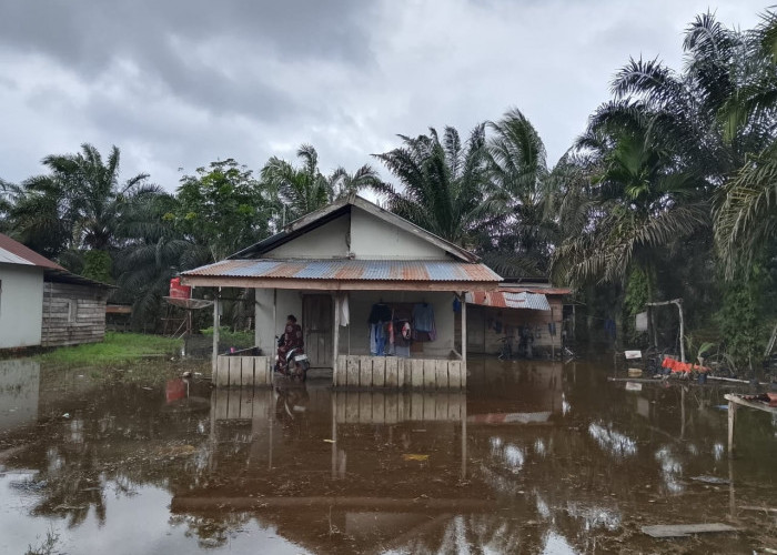 3 Hari Curah Hujan Tinggi, Sejumlah Wilayah Tergenang Banjir