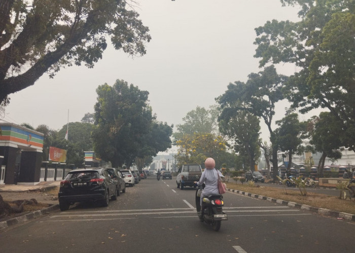 Kualitas Udara di Kota Jambi Berbahaya, Ini Tips Menjaga Kesehatan dari Partikel Polutan