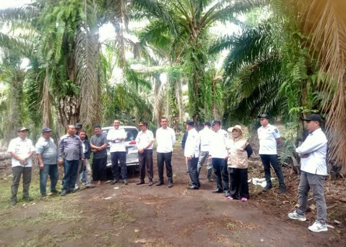 Hibahkan Tanah 45 Hektare, Sanggarang Agung Jadi Ibukota Kerinci Hilir