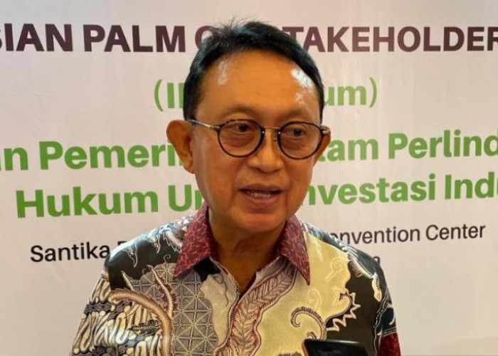GAPKI Minta Regulasi Ekspor Satu Pintu Via DSI Diperjelas dan Diterapkan Bertahap Demi Jaga Pasar Sawit