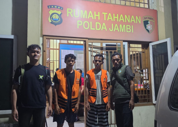 Kemenhut Tindak Illegal Logging di Habitat Harimau Sumatera, Dua Tersangka Ditahan