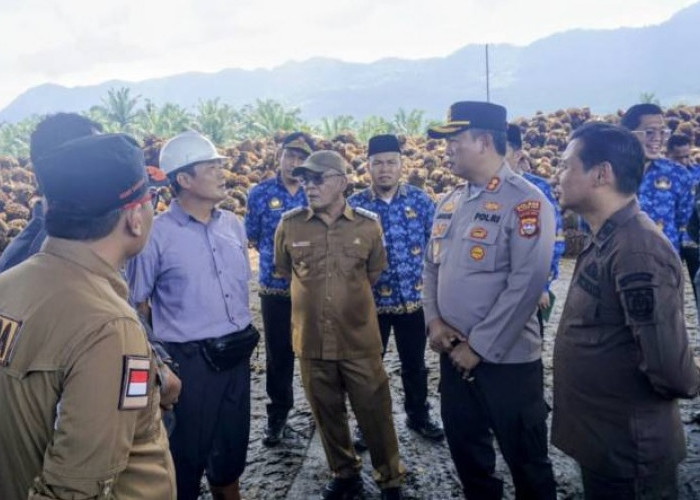 Bupati Pasaman Barat Sidak Dua Pabrik Kelapa Sawit, Tegaskan Larangan Turunkan Harga TBS Sepihak