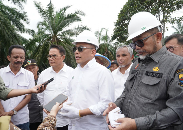 Komitmen Wujudkan Food Security PTPN IV PalmCo Perluas Program Tanam Padi PTPN ke Provinsi Jambi