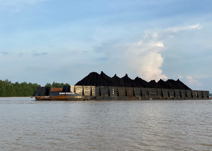 Transportasi batu bara Jambi melalui Sungai Batanghari. Foto : Iwan/Jambi Ekspres