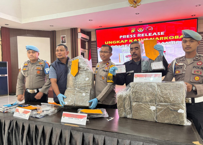 Bawa 30 Kg Lebih Ganja, DH Diciduk Polisi di Mendalo Darat