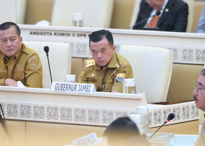 Saat Raker Bersama Komisi II DPR RI, Gubernur Al Haris Terus Perjuangkan Nasib P3K Penuh Waktu dan Paruh Waktu