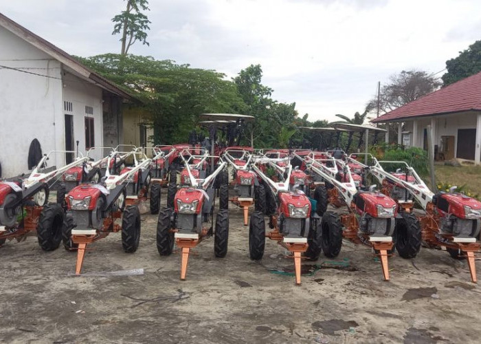 Kementan Bentuk 11 Brigade Pangan Tingkatkan Pertanian Tanjabtim 