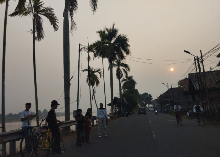 ISPU Kota Jambi Tembus 172, Kabut Asap Memburuk! Sekolah Kembali Daring 3 Hari
