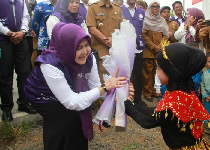 Ketua Tim Pembina Posyandu Tanjab Barat Tinjau Pelaksanaan Posyandu 6 Bidang SPM di Kecamatan Pengabuan