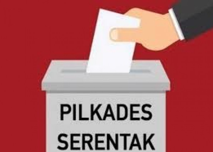 Dinas PMD Tebo Siapkan Perda Pilkades Serentak 2026