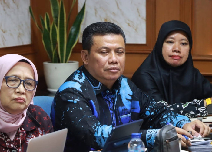 Wakil Bupati Tanjab Barat Presentasikan Program FOLU Net Sink 2030 di Forum Verifikasi Nasional
