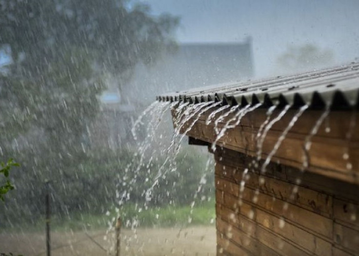 Waspada Ada Peringatan Dini BMKG Jambi, 5 Daerah Berpotensi Hujan Lebat Disertai Petir, Ini Daerahnya
