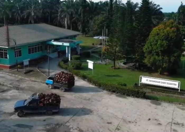 PT BSS Sebut PHK Karyawan Karena Pelanggaran Bersifat Mendesak, Pastikan Hak Dipenuhi