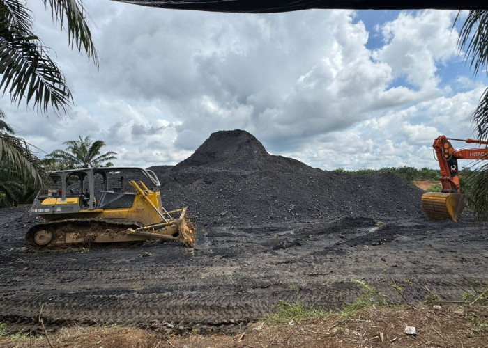 Kasus Batubara Bergulir di Polda Jambi, Kuasa Hukum: Sengketa Bisnis Dipaksakan Menjadi Perkara Hukum