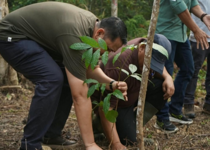 Bupati M. Syukur Pimpin Aksi Penanaman Pohon di Hutan Rio Kemunyang demi Kelestarian Lingkungan