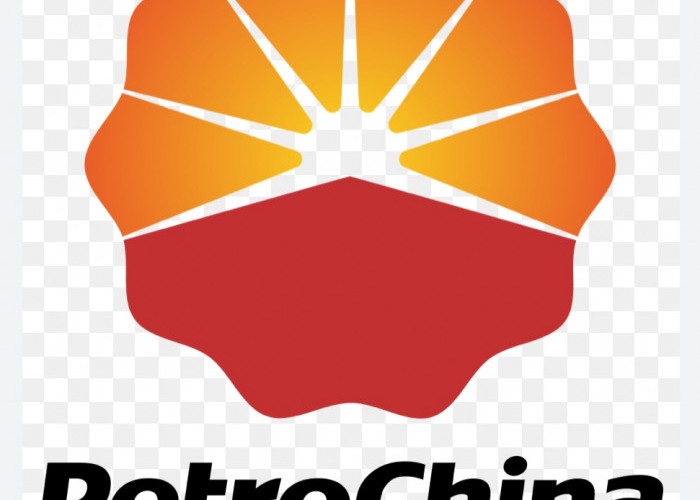 Dukung Pencapaian Target 1 Juta Barrel PetroChina Tajak 11 Sumur Pengembangan di Tahun 2023