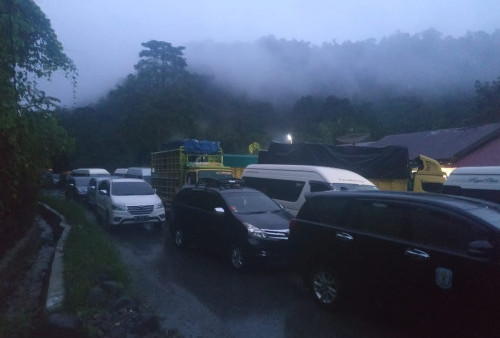 BREAKING NEWS: Longsor dan Pohon Tumbang, Jalan Kerinci- Bangko Macet Total