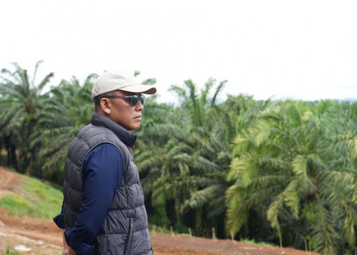 Gas Pol! PTPN IV PalmCo Sukses Tuntaskan 2.287 Ha Rekomtek PSR di Awal Tahun