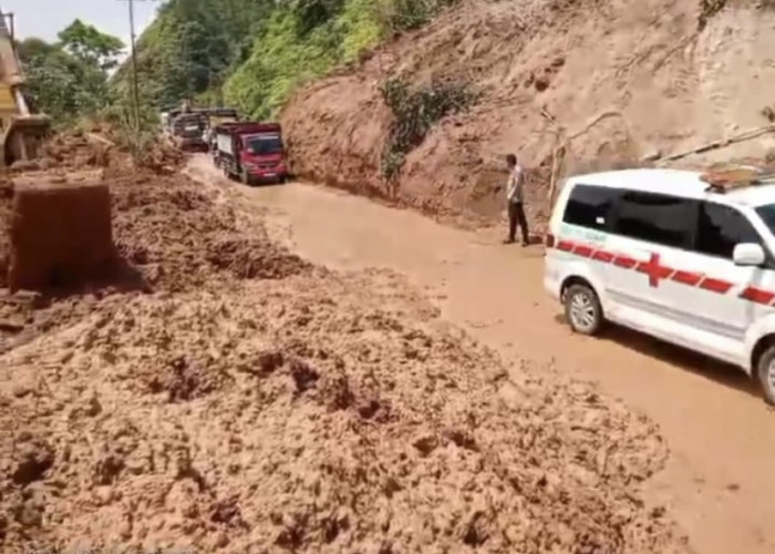 Lalu Lintas Jalan Nasional Kerinci - Bangko Sudah Bisa Dilalui Mulai Siang Kamis, Pasca Longsor Lereng Bukit