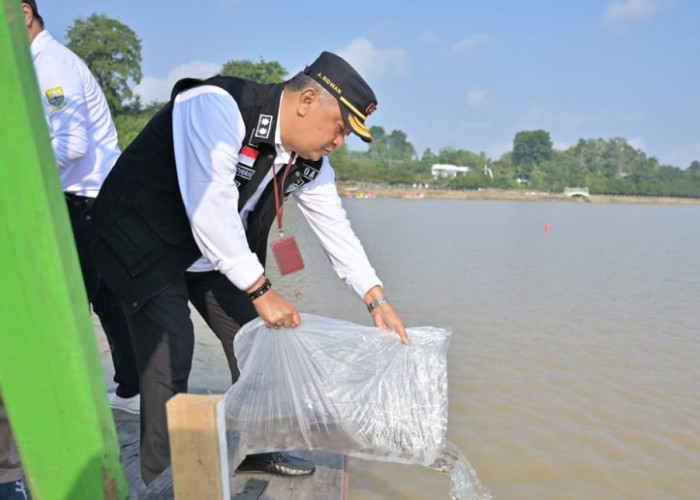 Sekda A Ridwan Tabur 22 Ribu Benih Gurame di Danau Sipin 