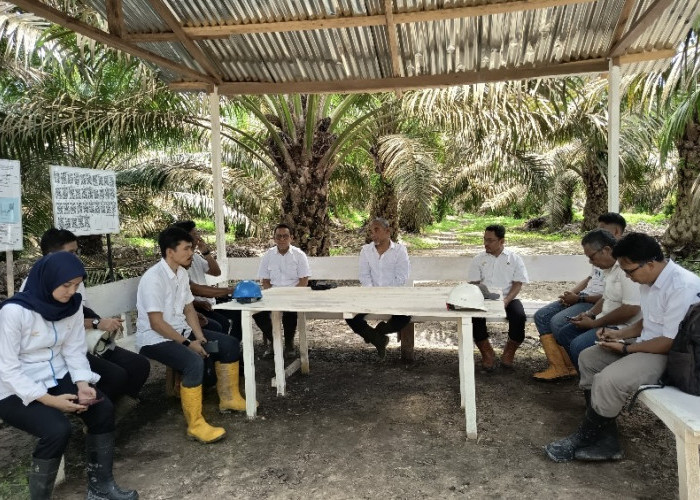 Kebun PTPN IV Regional IV Utamakan Operational Excellence 