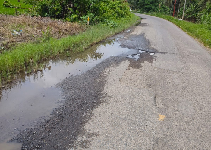 Jalan Nasional Rusak di Kecamatan Bram Itam