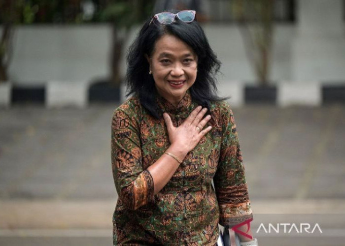 Dirjen Cipta Karya, Diana Kusumastuti Jadi Wakil Menteri PU