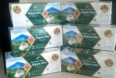 Penjualan Teh Kayu Aro Kemasan Naik 7 Persen