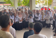 Gaji Tak Dicantumkan, Ratusan PPPK Paruh Waktu Sungai Penuh Tolak Teken Kontrak