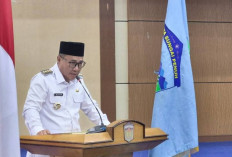 Alfin Dorong Kepastian Status PPPK, Soroti Skema Penuh dan Paruh Waktu