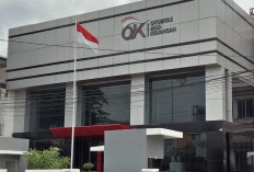 Sigap Ala OJK Siasati Ekonomi saat Kabut Asap