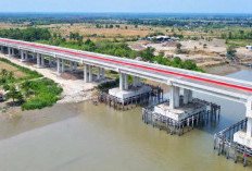 Membentang 1.684 Meter, Jembatan Musi V Jadi Struktur Vital Tol Palembang-Betung
