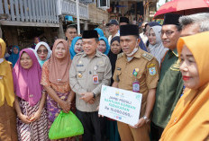 Gubernur Al Haris Tinjau Lokasi Kebakaran di Tanjung Raden, Imbau Warga Waspada Api di Musim Kemarau